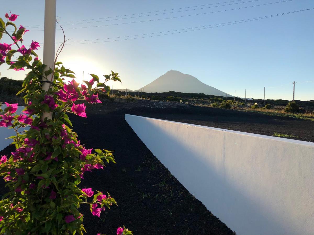Vinhas Do Calhau Lejlighedshotel Madalena  Eksteriør billede