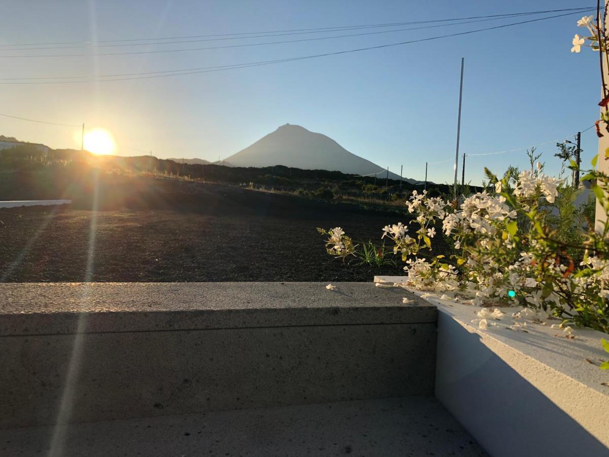 Vinhas Do Calhau Lejlighedshotel Madalena  Eksteriør billede